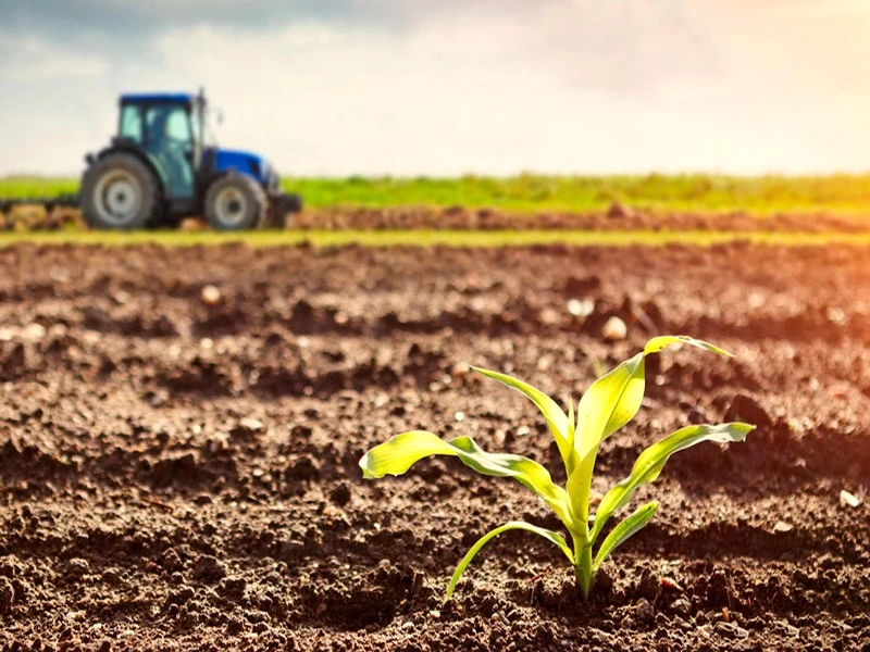 Ingénieur qualité contrôlant l'étiquetage et la conformité d'emballages de produits agroalimentaires